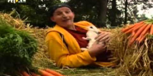 Het Konijn