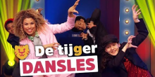 De Tijger Dansles