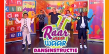 Raar maar Waar Dansles