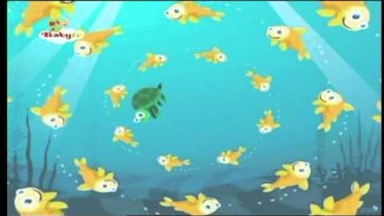 BabyTV - Kinderen en Huisdieren - Kids-Tube.nl