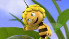 Maja de Bij filmpjes Maja de Bij filmpjes