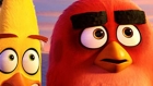 Angry Birds filmpjes