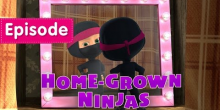 Ninjas