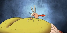 Waarom jeuken muggen bulten