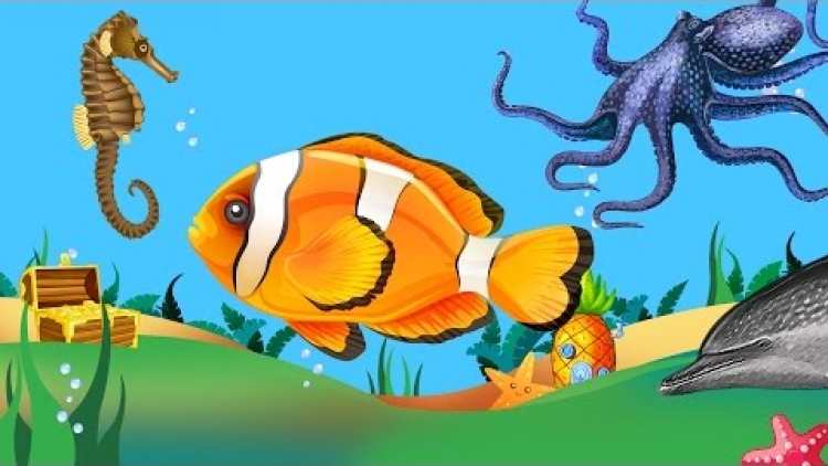 Zeedieren en Vissen Leren voor Kinderen